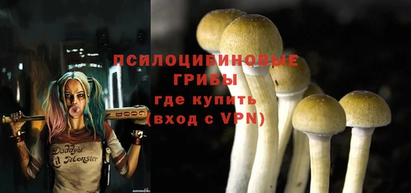 каннабис Алзамай